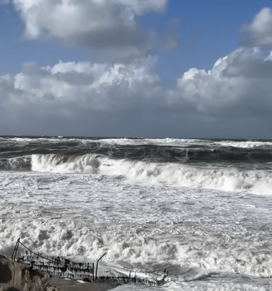 Die beste Zeit für den Urlaub auf Sylt ist...