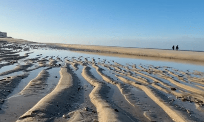 Verantwortungsvolle Finanzpolitik für Sylt: Handlungsfähigkeit sichern, Steuererhöhungen begrenzen