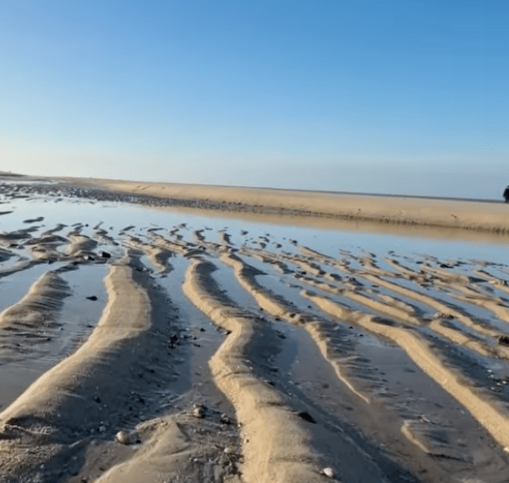 Verantwortungsvolle Finanzpolitik für Sylt: Handlungsfähigkeit sichern, Steuererhöhungen begrenzen