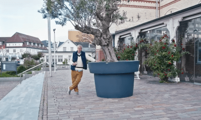 Wenn Wände plaudern könnten: Das wilde Leben des Westerländer Rathauses