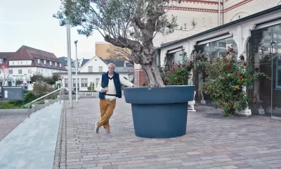 Wenn Wände plaudern könnten: Das wilde Leben des Westerländer Rathauses