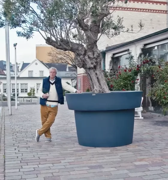 Wenn Wände plaudern könnten: Das wilde Leben des Westerländer Rathauses