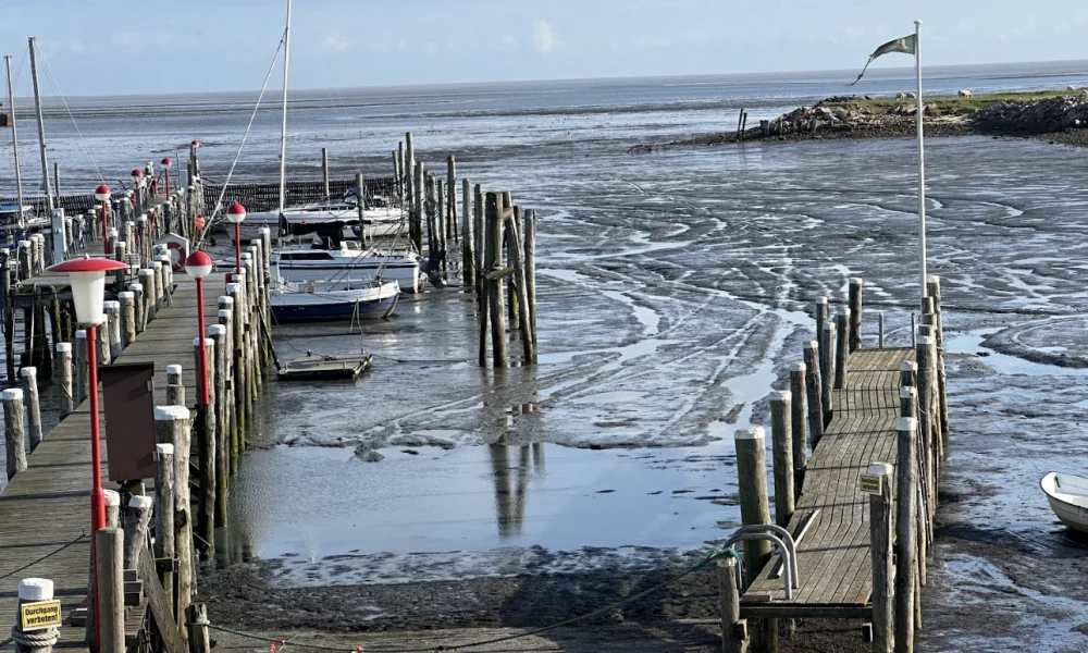40 Jahre Nationalpark Schleswig-Holsteinisches Wattenmeer: Eine Bilanz zwischen Welterbe und Klimakrise