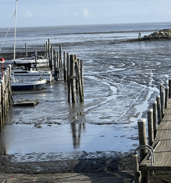 40 Jahre Nationalpark Schleswig-Holsteinisches Wattenmeer: Eine Bilanz zwischen Welterbe und Klimakrise