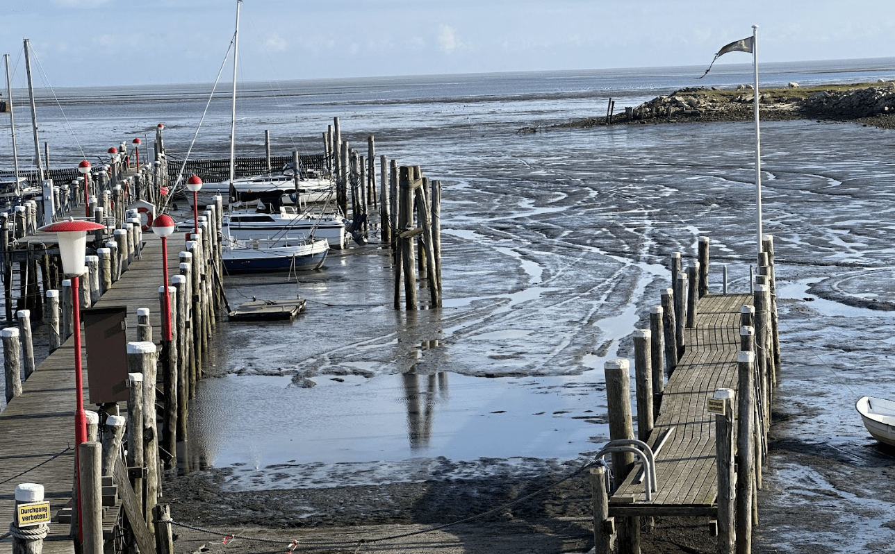 40 Jahre Nationalpark Schleswig-Holsteinisches Wattenmeer: Eine Bilanz zwischen Welterbe und Klimakrise