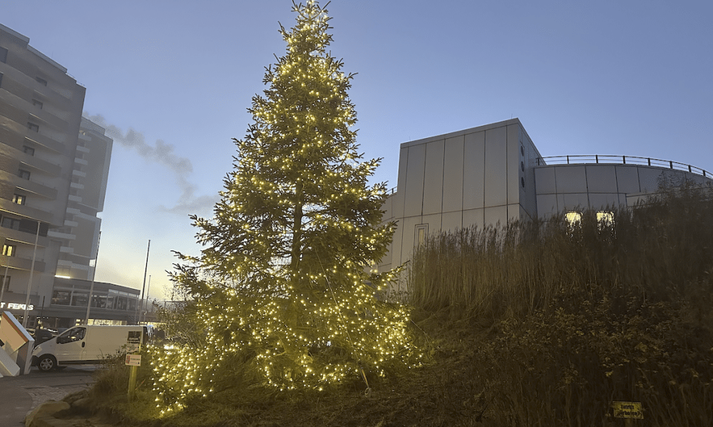 Festlicher Glanz im Nordwind: Die Tradition der Weihnachtsbäume auf Sylt
