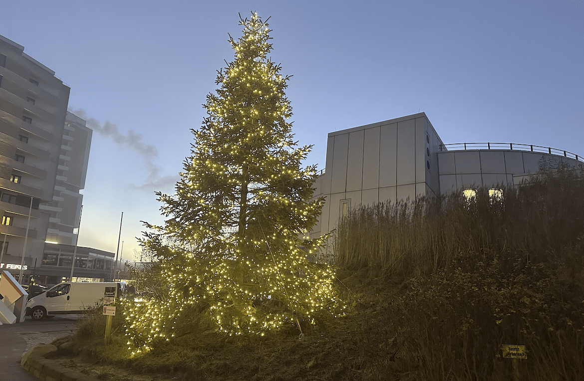 Festlicher Glanz im Nordwind: Die Tradition der Weihnachtsbäume auf Sylt