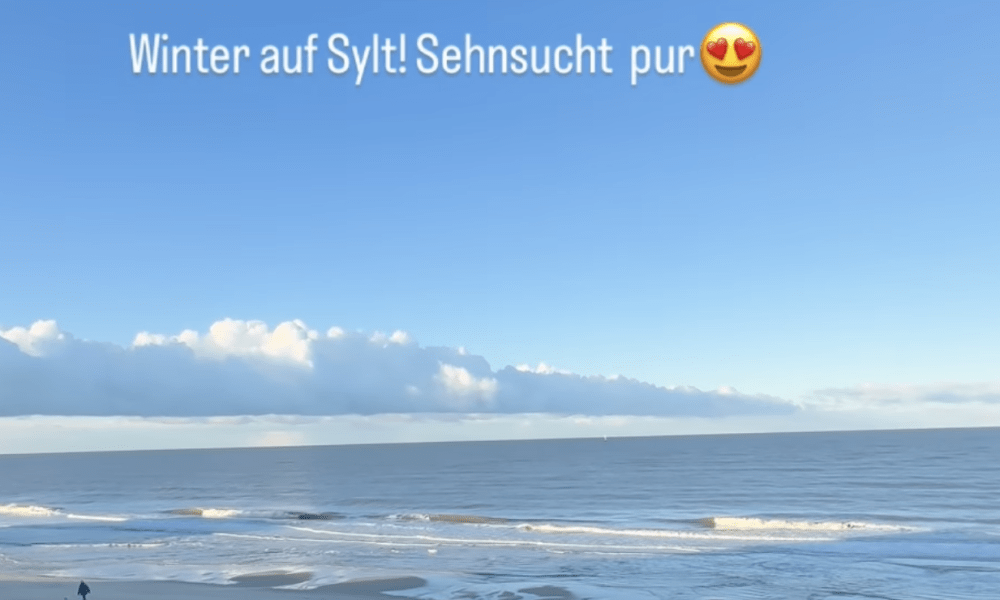 Der 2,2-Millionen-Klick-Effekt: Warum ein Fischbrötchen auf Sylt viral geht und was Likes wirklich wert sind