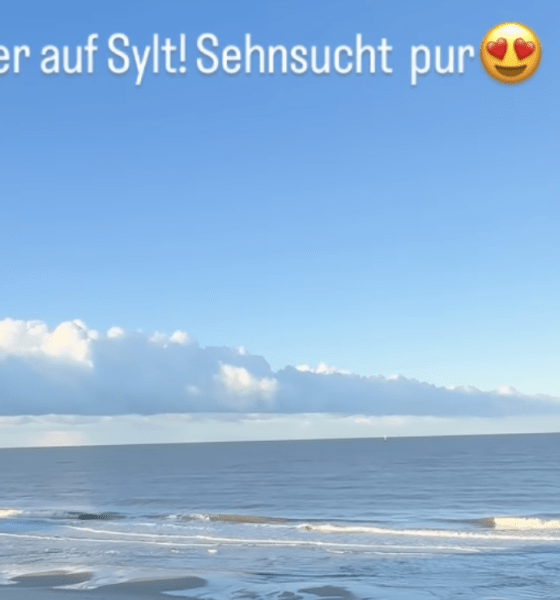 Der 2,2-Millionen-Klick-Effekt: Warum ein Fischbrötchen auf Sylt viral geht und was Likes wirklich wert sind
