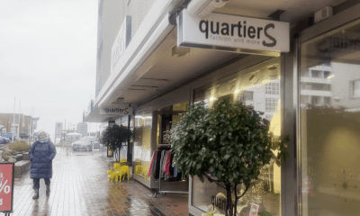 Von Kampen nach Westerland: Wo die bunten Schafe ein neues Zuhause fanden