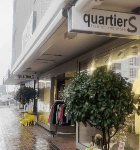 Von Kampen nach Westerland: Wo die bunten Schafe ein neues Zuhause fanden