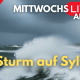 Good Morning Sylt Show: Sturm-Bilanz, Start der Familienwochen und Sylt als Shopping-Spitzenreiter