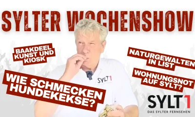 Sylt News: Kleine Begegnungen, große Themen: Folge 9 unserer Wochenshow