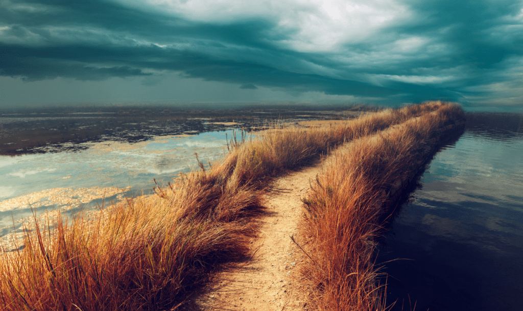 Sylt News - Sylter Zeitung