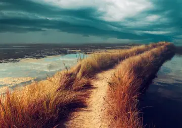 Sylt News - Sylter Zeitung