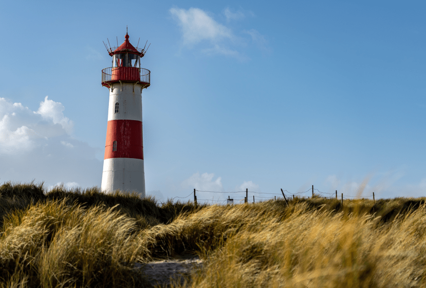 Ihre Sylt-Geschichte auf Sylt1: Teilen Sie Ihre besonderen Momente Die schönsten Geschichten schreibt das Leben - besonders hier auf Sylt. Jeder, der die Insel kennt, trägt seine ganz persönlichen Erinnerungen, bewegenden Begegnungen und unvergesslichen Momente im Herzen. ## Werden Sie Teil der Sylt1-Community Diese einzigartigen Geschichten möchten wir bei Sylt1 künftig eine Bühne geben. Ob magischer Sonnenuntergang am Roten Kliff, eine schicksalhafte Begegnung am Strand oder der erste Wattwurm beim Krabbenfischen - Ihre persönliche Sylt-Geschichte verdient es, gehört zu werden. ## Ihre Geschichte zählt **Was macht Ihre Geschichte besonders?** - Eine prägende Begegnung mit Inselbewohnern - Ein unvergessliches Naturerlebnis - Eine amüsante Anekdote - Ein bewegender Moment - Eine traditionelle Familiengeschichte - Eine überraschende Entdeckung ## So können Sie mitmachen Schreiben Sie uns Ihre Geschichte an lenz@sylt1.tv. Egal ob kurze Anekdote oder ausführliche Erzählung - wir freuen uns über jeden authentischen Beitrag, der die Magie der Insel einfängt. ## Gemeinsam Geschichten erzählen Mit Ihrer Geschichte tragen Sie dazu bei, das vielfältige Bild unserer Insel zu bereichern. Jede Perspektive ist wertvoll und hilft anderen, Sylt neu zu entdecken und zu erleben. Lassen Sie uns gemeinsam die schönsten, bewegendsten und unterhaltsamsten Sylt-Geschichten sammeln und bewahren. Denn eines ist sicher: Auf Sylt warten noch unzählige Geschichten darauf, erzählt zu werden. Wir sind gespannt auf Ihre ganz persönliche Sylt-Geschichte!