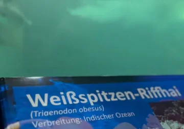 Sylt Aquarium in Westerland