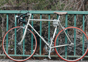 Cycling Paradise Social Ride: Gemeinsam die Insel erleben