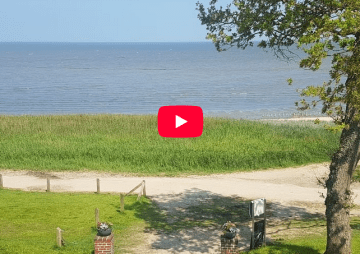 Webcam-Keitum auf Sylt: Blick aufs Watt bei Nielsens Kaffeegarten