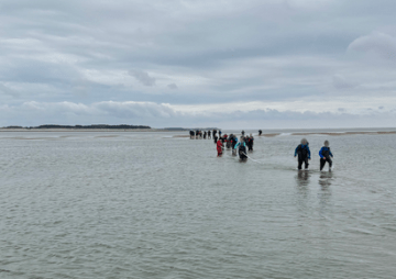 Katastrophe verhindert - Seenotretter helfen 25 Wattwanderern vor Amrum