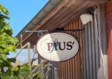 Pius on the beach