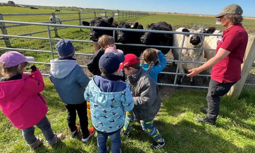 Vorschulkinder der SYLT KITA entdecken das Leben auf dem Düysenhof in Morsum