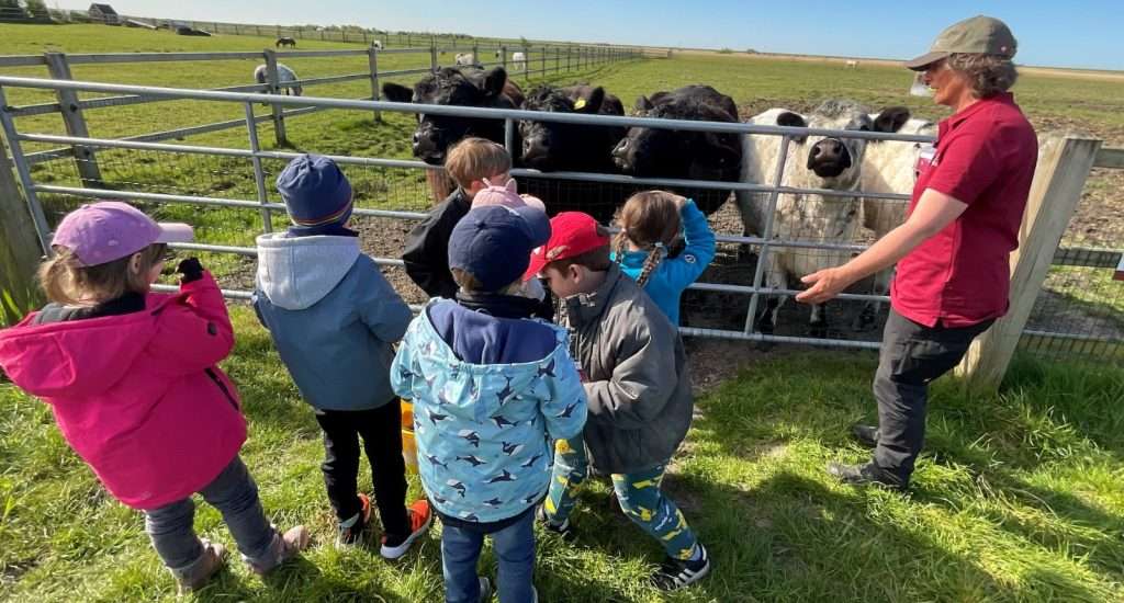 Vorschulkinder der SYLT KITA entdecken das Leben auf dem Düysenhof in Morsum