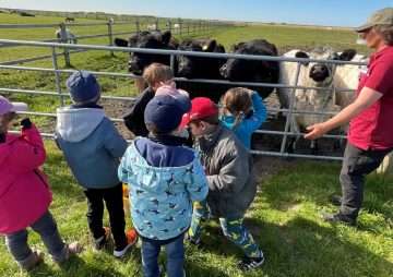 Vorschulkinder der SYLT KITA entdecken das Leben auf dem Düysenhof in Morsum
