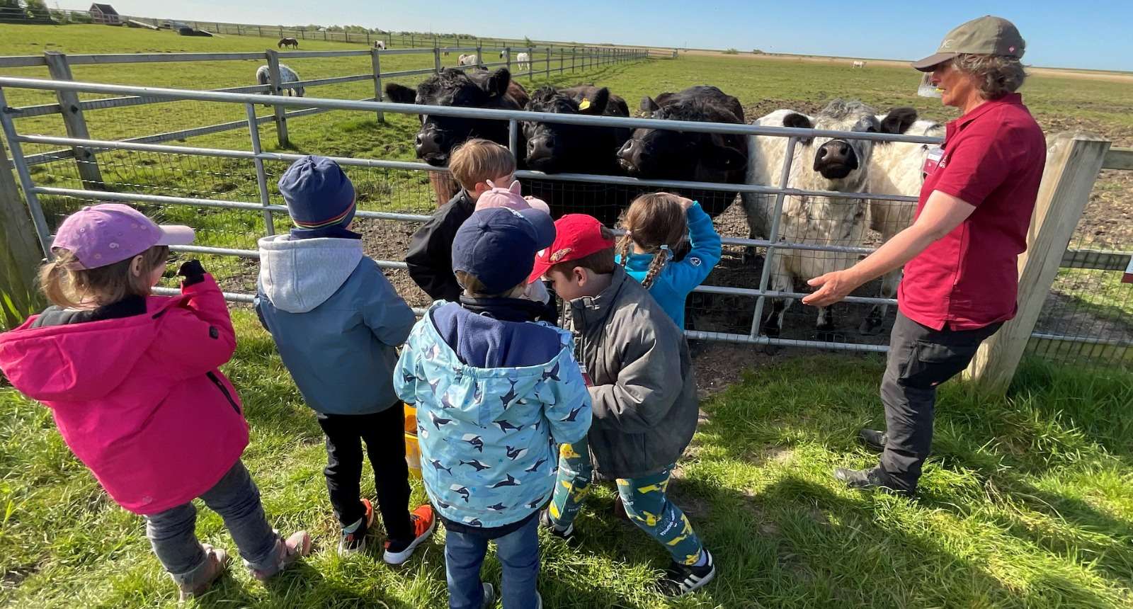 Vorschulkinder der SYLT KITA entdecken das Leben auf dem Düysenhof in Morsum 44 Vorschulkinder der SYLT KITA entdecken das Leben auf dem Düysenhof in Morsum