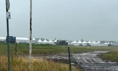 Stürmischer Tag auf Sylt: Windsurfer jubeln, Polo-Pferde pausieren