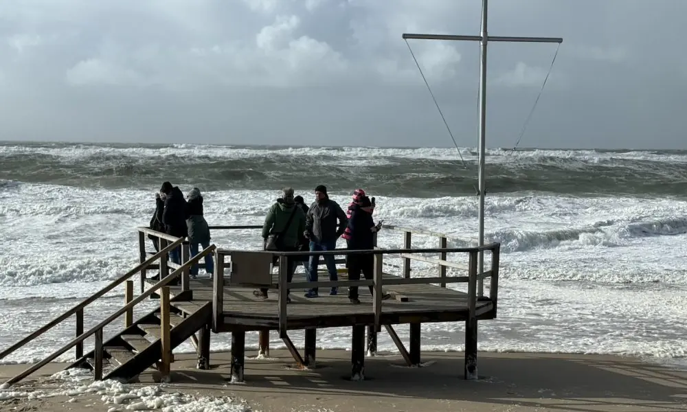 Anleitung zum Wahnsinn: Eine heitere Feldstudie zum Sylter Sturmspaziergang