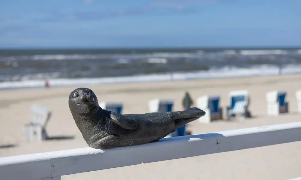 200 Robben erobern die Neue Mitte: Kunstaktion von Ottmar Hörl in Westerland