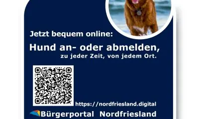 Hunde auf Sylt. Neuer digitaler Service für HundesitzerInnen.