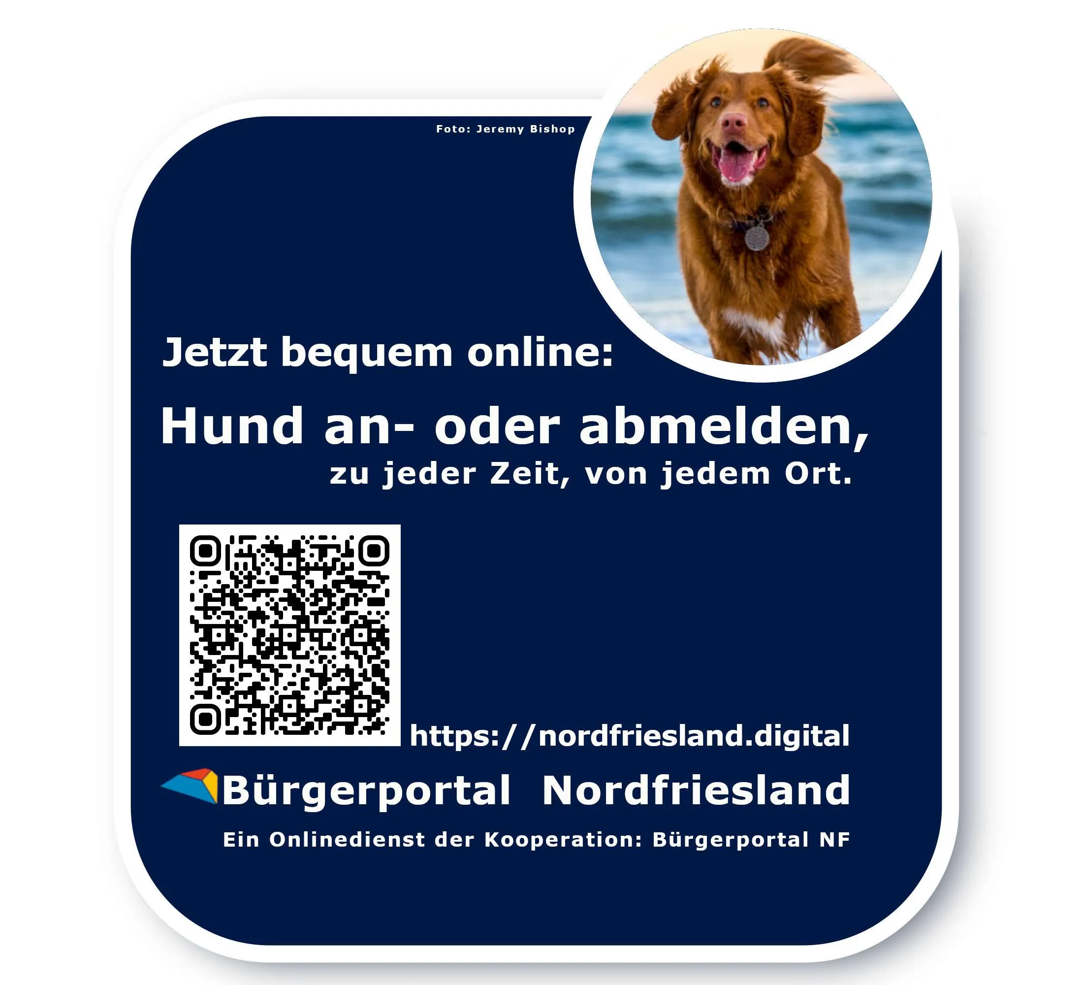 Hunde auf Sylt. Neuer digitaler Service für HundesitzerInnen.