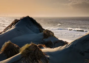 Silberglanz und Schmirgelpapier: Eine Liebeserklärung an das Sylter Licht