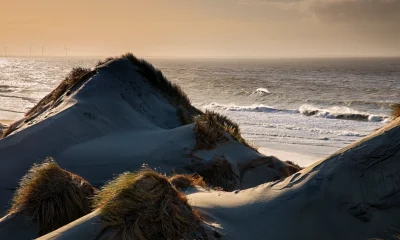 Silberglanz und Schmirgelpapier: Eine Liebeserklärung an das Sylter Licht