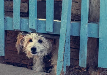 Sylt - Endlich keine Monster am Himmel