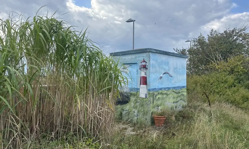 Inselzauber in Keitum: Graue Kästen erstrahlen in maritimer Pracht 81 Inselzauber in Keitum: Graue Kästen erstrahlen in maritimer Pracht