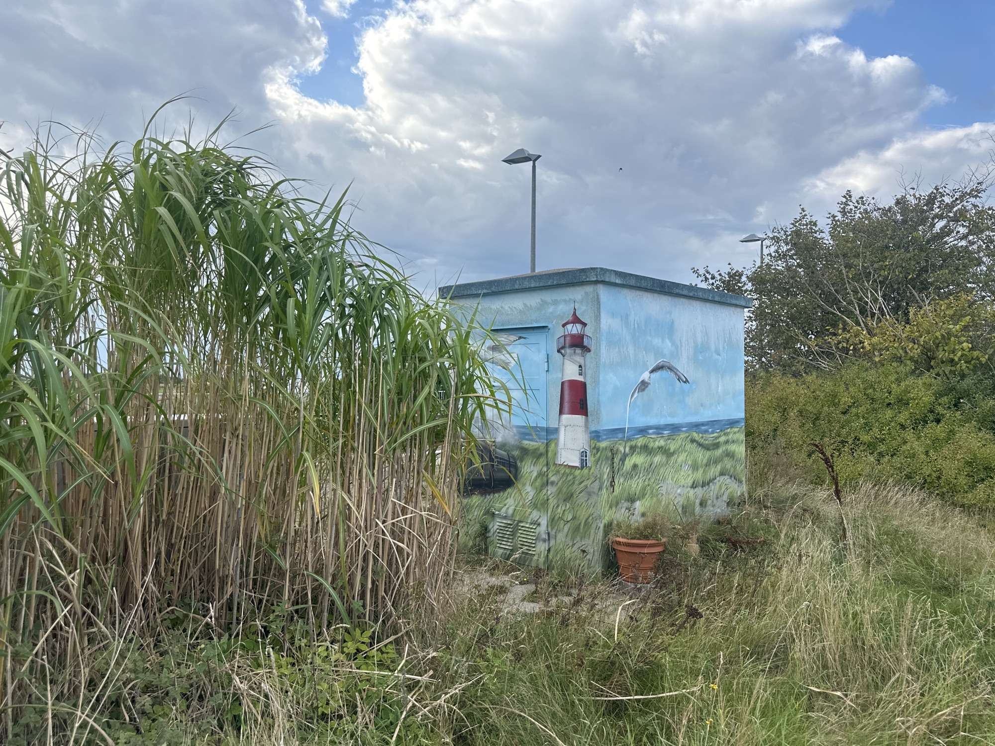 Inselzauber in Keitum: Graue Kästen erstrahlen in maritimer Pracht