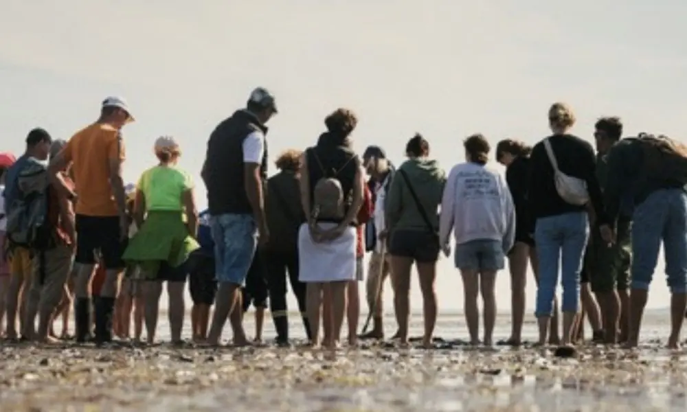 Sylt News: Alle Veranstaltungen jetzt zentral online buchen mit feratel 88 Sylt News: Alle Veranstaltungen jetzt zentral online buchen mit feratel