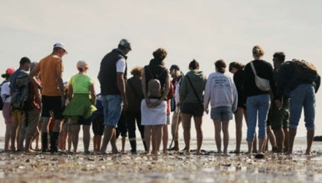 Sylt News: Alle Veranstaltungen jetzt zentral online buchen mit feratel