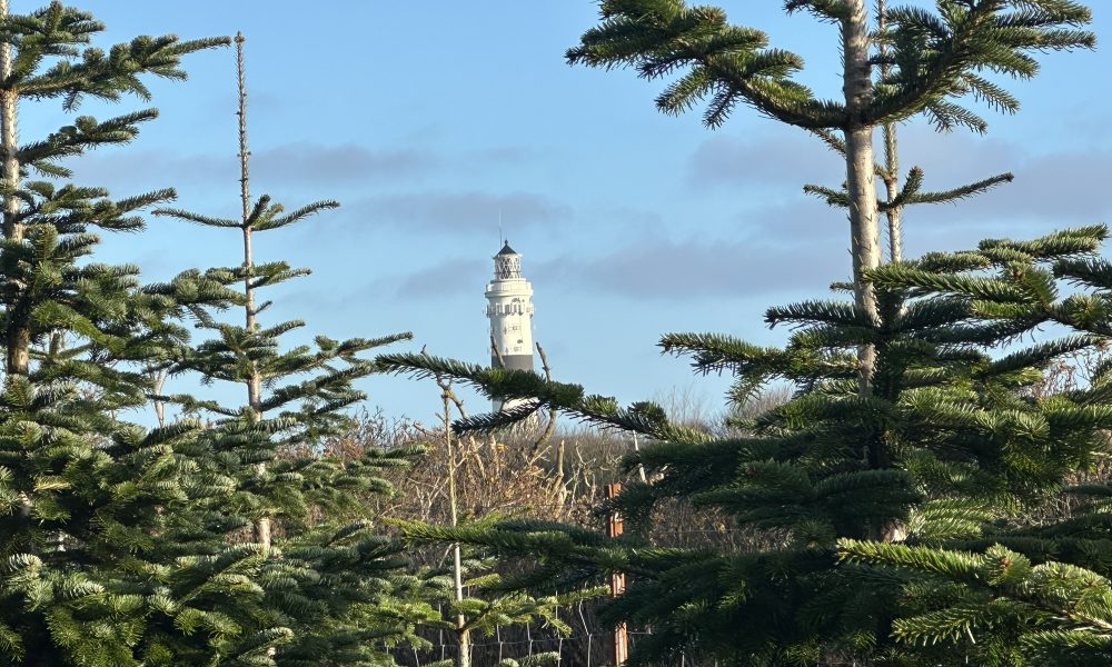 Ein festlicher Ausklang: Termine und Highlights zum Jahreswechsel