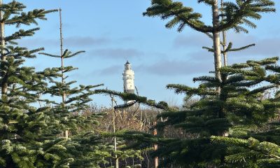 Ein festlicher Ausklang: Termine und Highlights zum Jahreswechsel