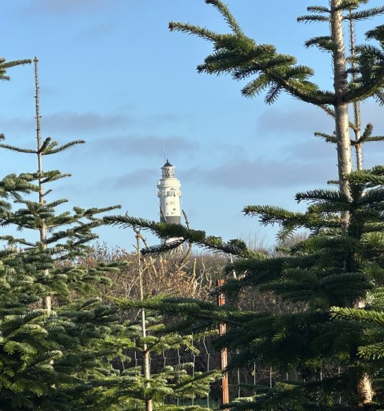 Ein festlicher Ausklang: Termine und Highlights zum Jahreswechsel