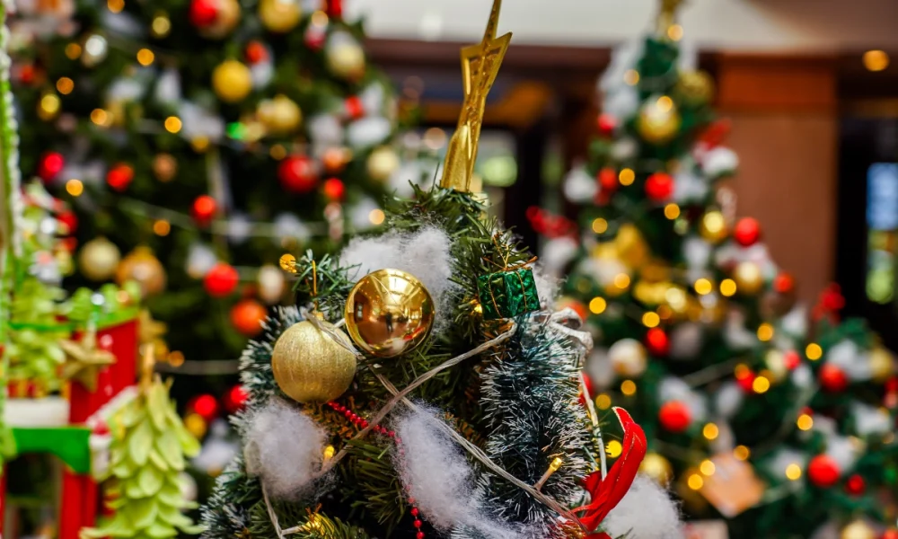 Sylter Winterzauber ganz oben im Norden: Festliche Momente im Lister Markt