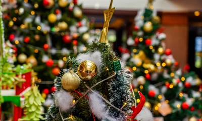 Sylter Winterzauber ganz oben im Norden: Festliche Momente im Lister Markt