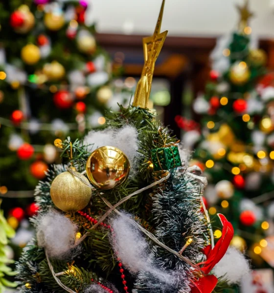 Sylter Winterzauber ganz oben im Norden: Festliche Momente im Lister Markt