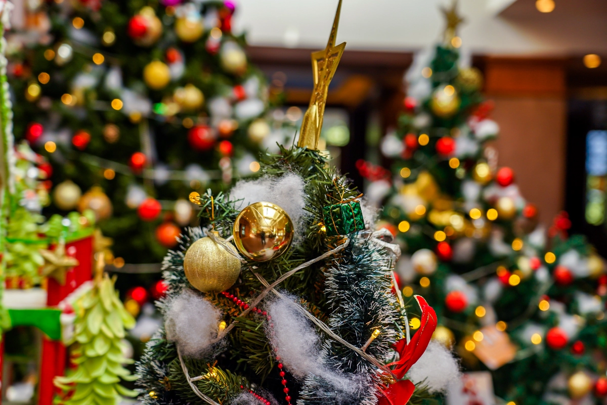 Sylter Winterzauber ganz oben im Norden: Festliche Momente im Lister Markt 58 Sylter Winterzauber ganz oben im Norden: Festliche Momente im Lister Markt