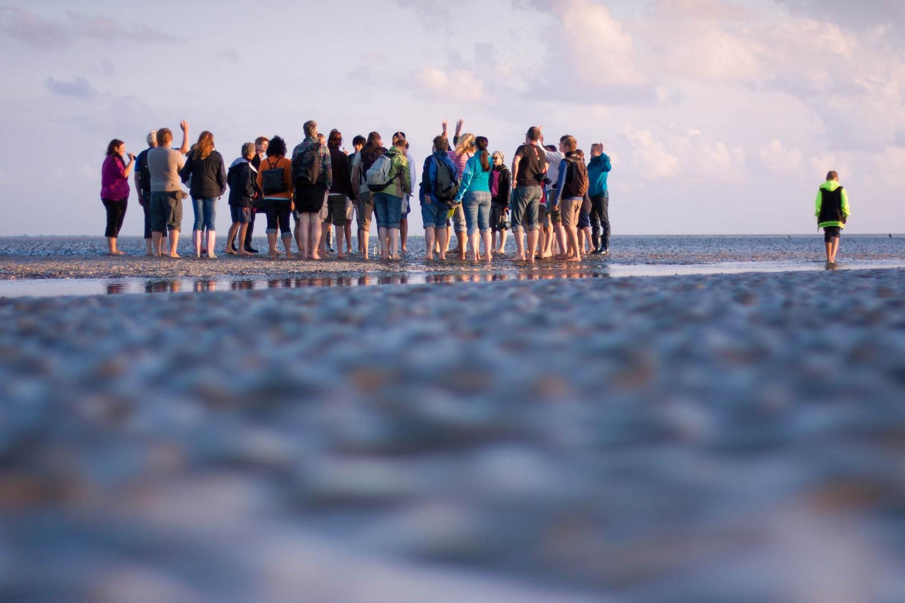 Schlickwattwanderung in Keitum auf Sylt