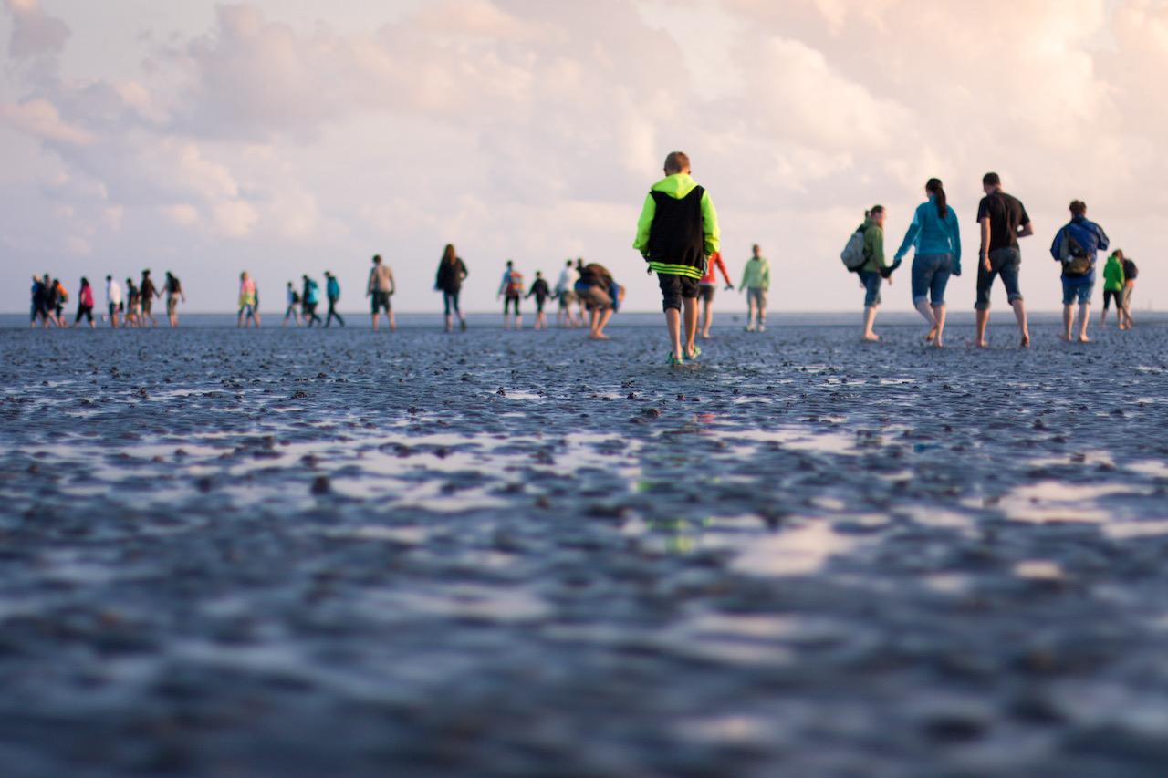 Wattwanderung in Morsum auf Sylt